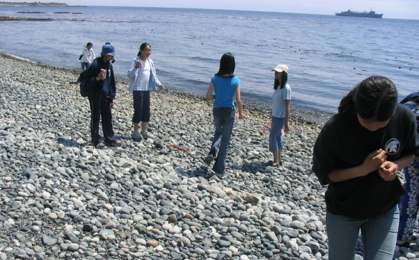 Beach 01.jpg